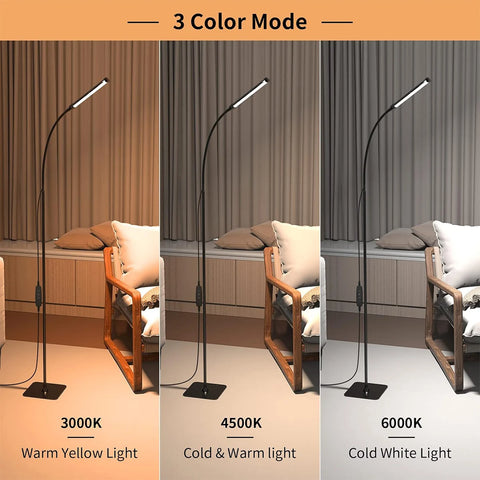 Floor Reading Lamp