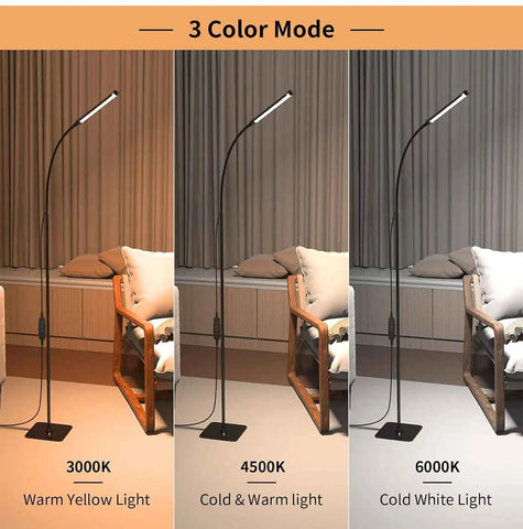 Floor Reading Lamp